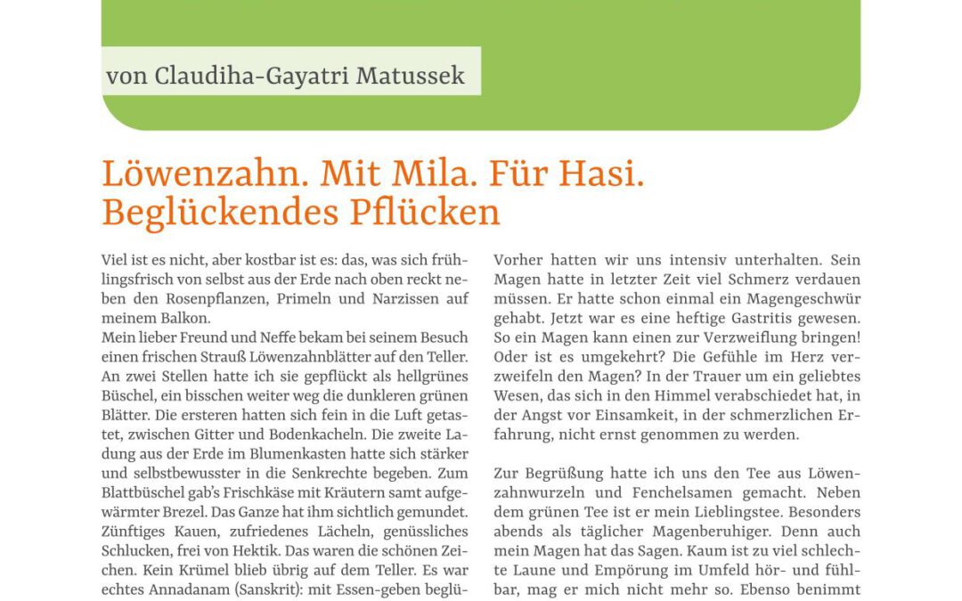 Löwenzahn. Mit Mila. Für Hasi. Beglückendes Pflücken.